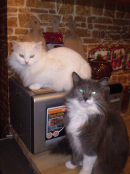 Зображення