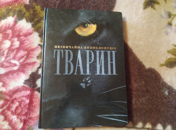 Зображення