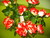 Цветы искусственные новые - подсолнухи 9 голов 40 см и белые ромашки 7 голов, 30 см, шикарные розы - Фото №4