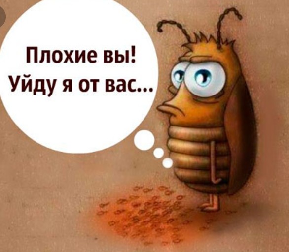 Днем рождения, прикольная картинка таракана
