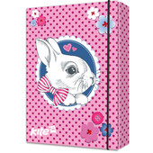 Папка для тетрадей на резинках Kite Cute Bunny K17-210-01, картон