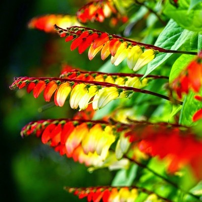 Фото №1