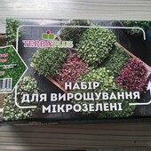 Выращивание микрозелени дома.