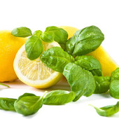 Базилик Лимонный ароматический. Для салатов, мяса , рыбы и других любимых блюд