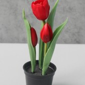 Неймовірні червоні тюльпани в кашпо, латекс, 3 шт.