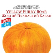 Томат Жовтий пухнастий кабан 25 насінин