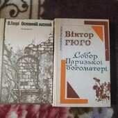 Одна книга в лоті