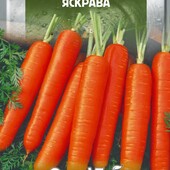 Морква Яскрава. Підвищений вміст каротину, добре зберігається.