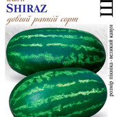 Оригінальний, солодкий кавун Шираз червоний, 15 насінин