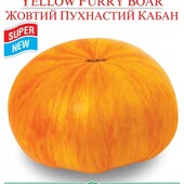 Томат Жовтий пухнастий кабан.М'якуш соковитий, кремоподібний і маслянистий, солодкий з фруктовими но