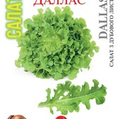 Салат Даллас. 500 насінин! Відмінний смак та текстура.