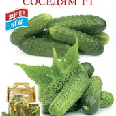 Огірок На заздрість сусідам F1.Без гіркоти, врожайний, чудовий для консервування.