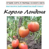 Томат Король Лондона, 25 насінин