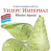 1Насіння суперранньої капусти Уілерс Імперіал 150 насінин