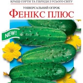 Огірок Фенікс плюс. Універсальний. Плодоносить до осені. Стійкий до хвороб..