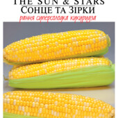 Кукурудза Сонце та зірки. Велика упаковка 20 г. Солодка, мармурова.