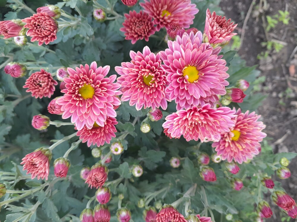 Фото №2