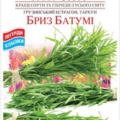 насіння тархуна , грузинський естрагон Бриз Батумі