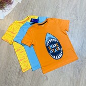 Набір футболок для хлопчика 110/116 см lupilu