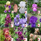 Фото №3