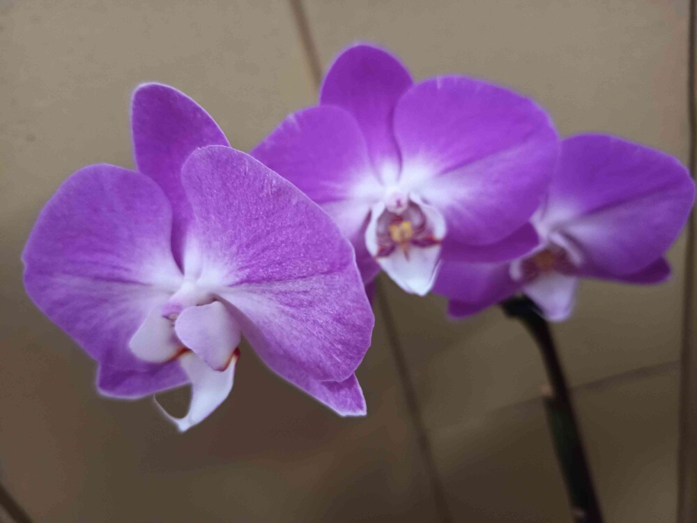 Фото №2