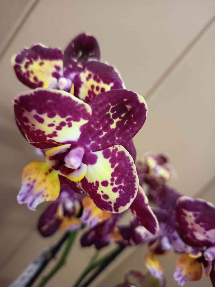 Фото №2