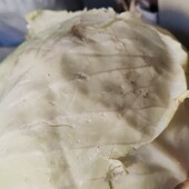 Капуста домашня 5 кг