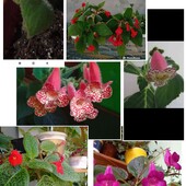 Фото №3
