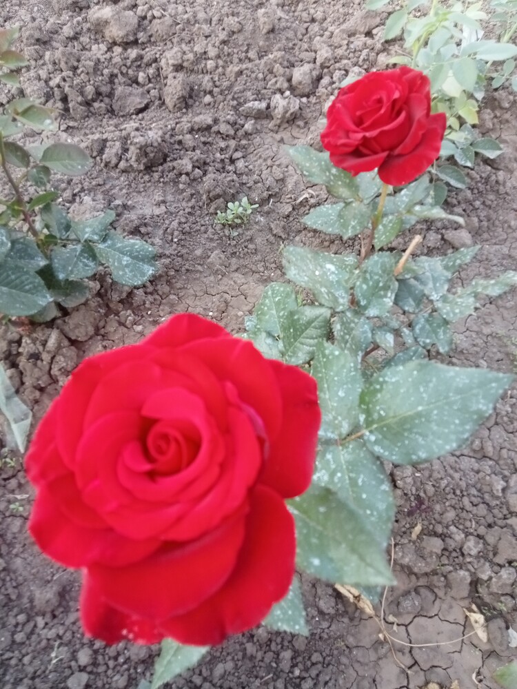 Фото №2