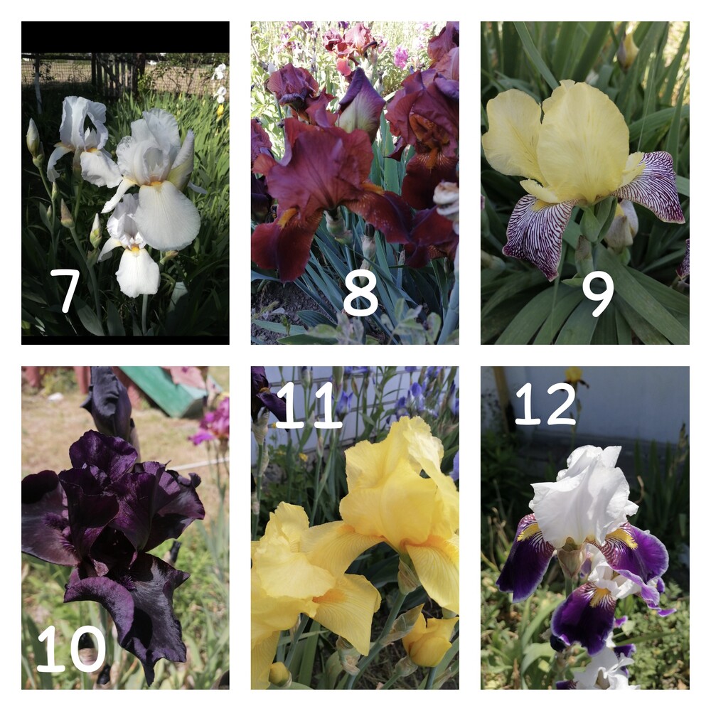 Фото №2