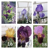 Фото №3