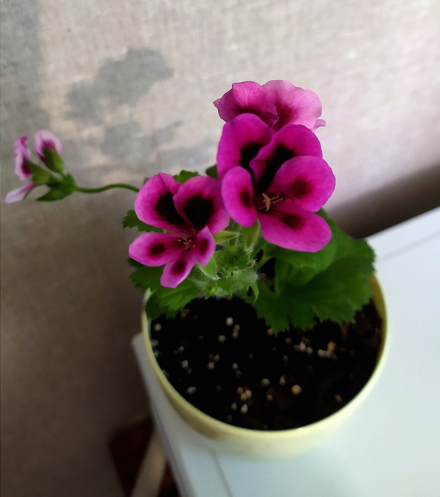 Фото №1