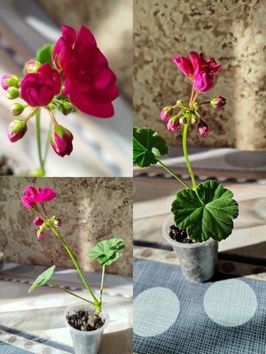 Фото №1