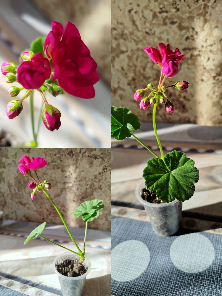 Фото №1