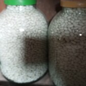 Продам квасолю
