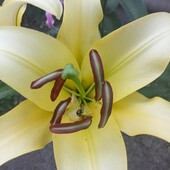 Фото №3