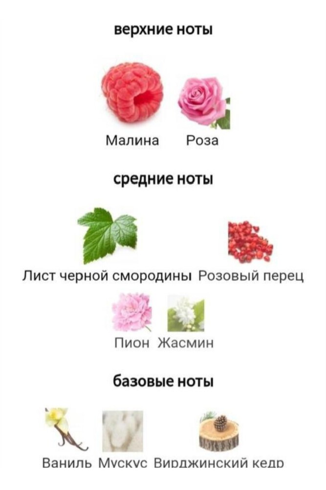 Фото №2