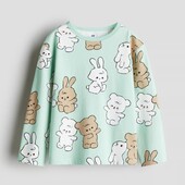Реглан дівчинці H&M,110/116