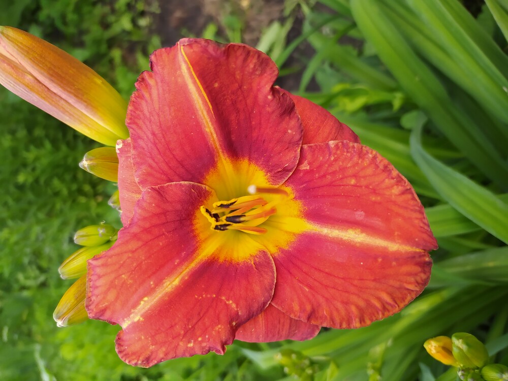 Фото №1