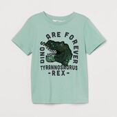 Футболка на мальчика H&M
