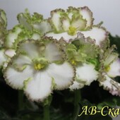 Фото №3