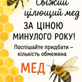 Літній мед, липа і різнотрав'я