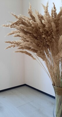 Фото №1