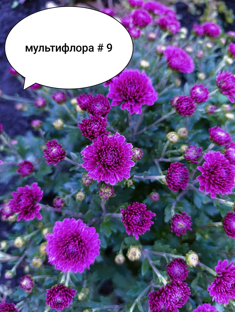 Фото №2