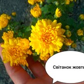 Фото №3