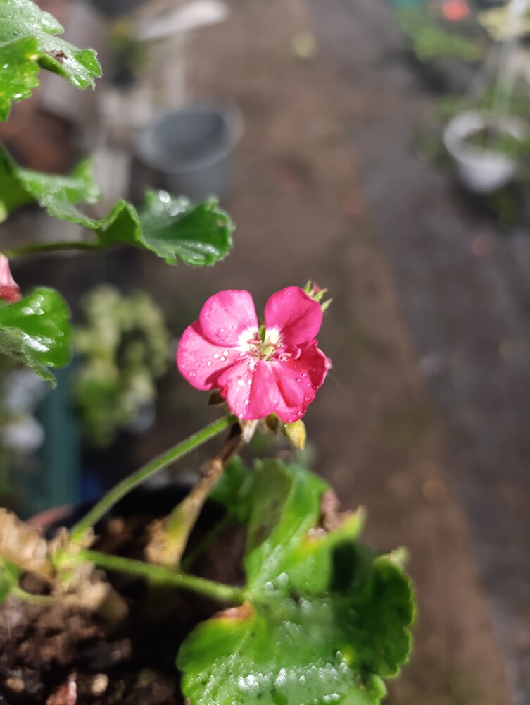 Фото №2