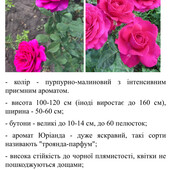 Фото №3