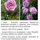 Фото №4