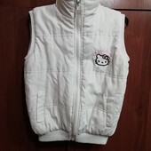 Безрукавка на 4-5 років