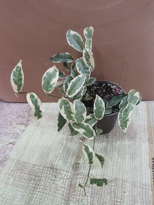 Фото №1 class=